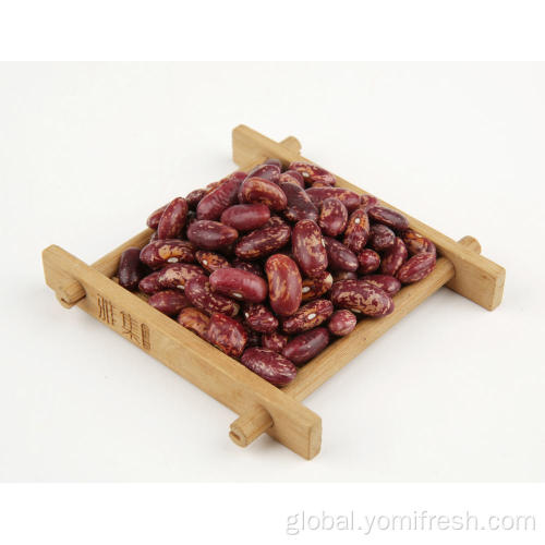 Recipes With Kidney Beans Kidney Beans Manufactory